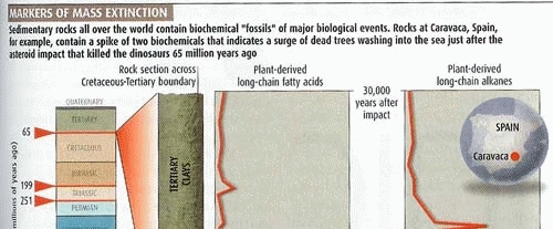 New Scientist map