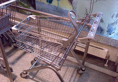 Magnifier on a Shopping Cart