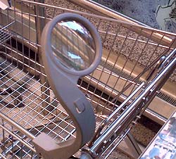 Magnifier on a Shopping Cart