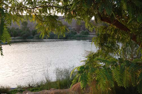 Artificial lake at Kibbutz Neot Semadar